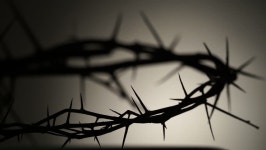 Crown of Thorns. Contour 스톡 동영상 비디오(100% 로열티 프리) 16025620 | Shutterstock