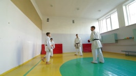 Martial Arts 스톡 동영상 비디오(100% 로열티 프리) 1717081 | Shutterstock