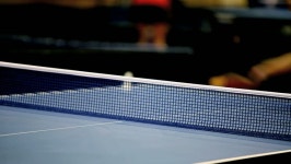 Ping-pong 스톡 동영상 비디오(100% 로열티 프리) 1729798 | Shutterstock