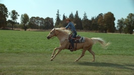 Woman Horseback Riding in Super 스톡 동영상 비디오(100% 로열티 프리) 19027627 | Shutterstock