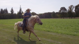 Woman Horseback Riding in Slow 스톡 동영상 비디오(100% 로열티 프리) 19027654 | Shutterstock