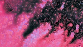 Curlicue of Paints 스톡 동영상 비디오(100% 로열티 프리) 19898161 | Shutterstock