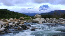 Download sharif digital assets | Creative Market