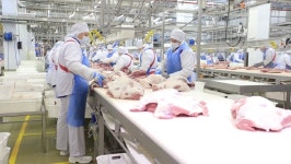 People Prepare Fresh Meat for 스톡 동영상 비디오(100% 로열티 프리) 20412634 | Shutterstock