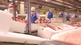 People Prepare Fresh Meat for 스톡 동영상 비디오(100% 로열티 프리) 20412652 | Shutterstock
