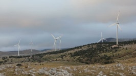 Download wind movement digital assets | Creative Market