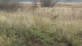 Ancient slavs digital assets for download | Creative Market