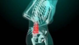 X-ray Style - Medical 3d 스톡 동영상 비디오(100% 로열티 프리) 25203653 | Shutterstock