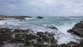 Waves on a stormy beach Nature Videos Waves on a stormy beach