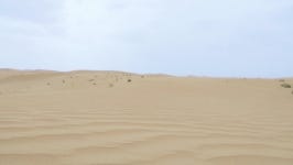 Sand Dune in Arabian Desert 스톡 동영상 비디오(100% 로열티 프리) 26248802 | Shutterstock