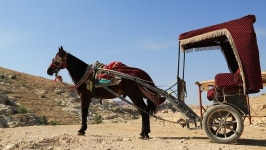 Jordan, Petra, December 5, 2016: 스톡 동영상 비디오(100% 로열티 프리) 26803435 | Shutterstock
