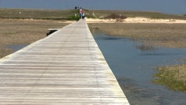 Boardwalk Stretching Over Salt Marsh 스톡 동영상 비디오(100% 로열티 프리) 2754161 | Shutterstock