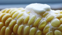 Piece of Butter Slowly Melting 스톡 동영상 비디오(100% 로열티 프리) 28076686 | Shutterstock