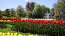 Blooming Summer European Garden Park, 스톡 동영상 비디오(100% 로열티 프리) 28344670 | Shutterstock