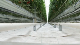 Agricoltore 스톡 비디오 동영상 - 4K/HD 비디오 클립 | Shutterstock