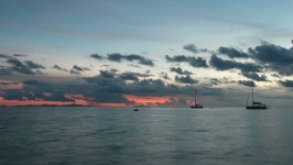 Bvi digital assets for download | Creative Market