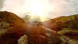 산호의 배경 스톡 동영상 비디오(100% 로열티 프리) 30130807 | Shutterstock