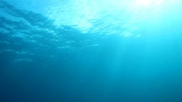Deep Diving Submarine, Amazing View 스톡 동영상 비디오(100% 로열티 프리) 3026737 | Shutterstock