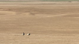 Warka, Iraq - Circa 2002: 스톡 동영상 비디오(100% 로열티 프리) 30517630 | Shutterstock