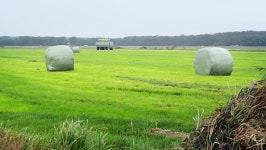 Hay Bales On a Trailer 스톡 동영상 비디오(100% 로열티 프리) 31442806 | Shutterstock