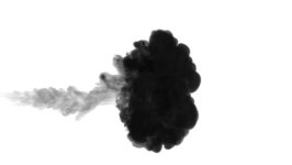 One Ink Flow, Infusion Black 스톡 동영상 비디오(100% 로열티 프리) 32717623 | Shutterstock
