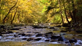 A River Flows Over Rocks 스톡 동영상 비디오(100% 로열티 프리) 3363962 | Shutterstock