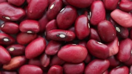 Red Kidney Beans Rotating 스톡 동영상 비디오(100% 로열티 프리) 34084687 | Shutterstock