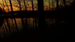 sunset by lake forest silhouettes bold 스톡 동영상 비디오(100% 로열티 프리) 34534975 | Shutterstock