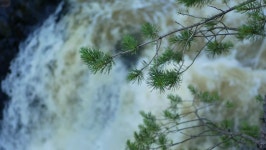 The Raging Waterfall in the 스톡 동영상 비디오(100% 로열티 프리) 34807993 | Shutterstock