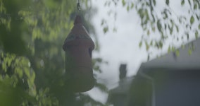 버드 하우스 데이타임 스톡 동영상 비디오(100% 로열티 프리) 34999267 | Shutterstock