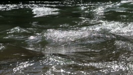 Rough Stream Flowing in River 스톡 동영상 비디오(100% 로열티 프리) 4151947 | Shutterstock