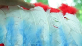 Download indian headdress digital assets | Creative Market