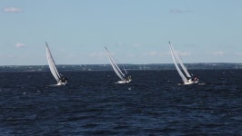 Sailing team digital assets for download | Creative Market