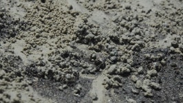 Crab Stone at Sand Sea 스톡 동영상 비디오(100% 로열티 프리) 5016422 | Shutterstock