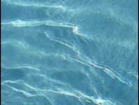 Download h20 digital assets | Creative Market