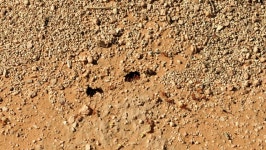 주식회사 앤트클랩스(ANTCLABS Inc.) | Time Lapse of Ants - 스톡 동영상 비디오(100% 로열티 프리) 5220140 | Shutterstock
