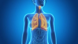X-ray Style - Medical 3d 스톡 동영상 비디오(100% 로열티 프리) 5574968 | Shutterstock