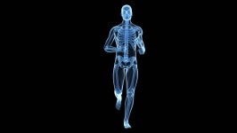 X-ray Style - Medical 3d 스톡 동영상 비디오(100% 로열티 프리) 5575112 | Shutterstock