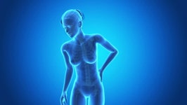 X-ray Style - Medical 3d 스톡 동영상 비디오(100% 로열티 프리) 5575127 | Shutterstock