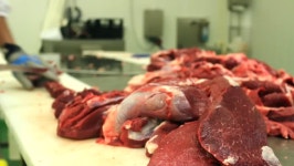 butcher chops meat pork raw meatraw 스톡 동영상 비디오(100% 로열티 프리) 6222053 | Shutterstock