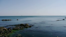 Ocean Water Surface and Rock 스톡 동영상 비디오(100% 로열티 프리) 6561839 | Shutterstock
