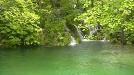 Small Waterfall 스톡 동영상 비디오(100% 로열티 프리) 6671462 | Shutterstock