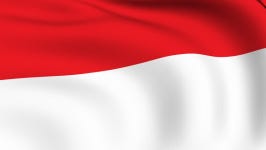 Flying Flag of Monaco | 스톡 동영상 비디오(100% 로열티 프리) 700354 | Shutterstock