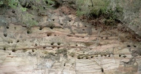 Holes from Limestone Rock Mountain 스톡 동영상 비디오(100% 로열티 프리) 7081894 | Shutterstock