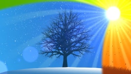 4 시즌애니메이션 배경 스톡 동영상 비디오(100% 로열티 프리) 711157 | Shutterstock