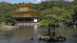 The Golden Pavilion at Kinkakuji 스톡 동영상 비디오(100% 로열티 프리) 8458111 | Shutterstock