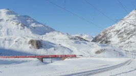 01012015bernina Passswitzerland: Red Bernina Express 스톡 동영상 비디오(100% 로열티 프리) 8648032 | Shutterstock