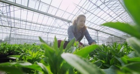4k Cheerful Female Worker in 스톡 동영상 비디오(100% 로열티 프리) 8719504 | Shutterstock