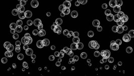 bubble 스톡 동영상 비디오(100% 로열티 프리) 877507 | Shutterstock