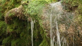 Moss Covered Waterfall 스톡 동영상 비디오(100% 로열티 프리) 884005 | Shutterstock